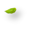 bgpp-store